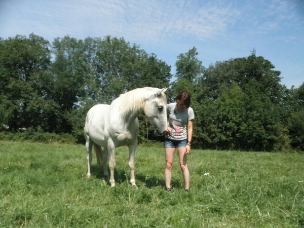 rencontres milieu cheval